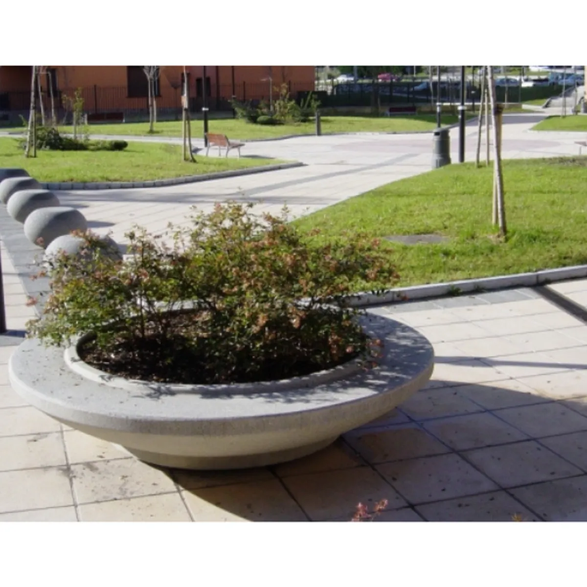 Jardinière béton Coupelle- coloris