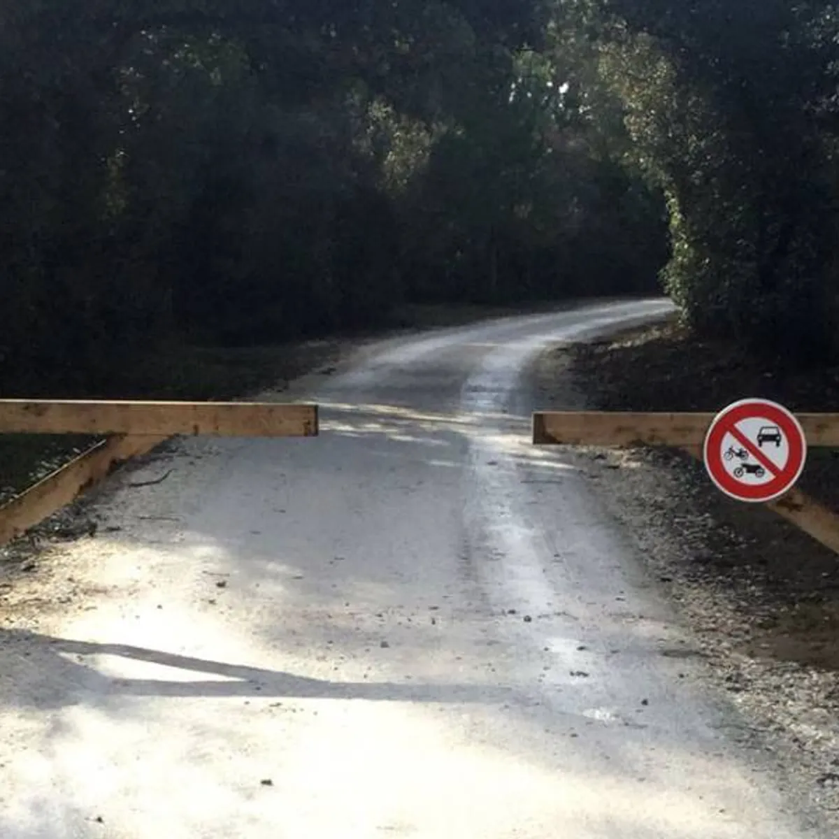 Barrière forestière double - ouvrante