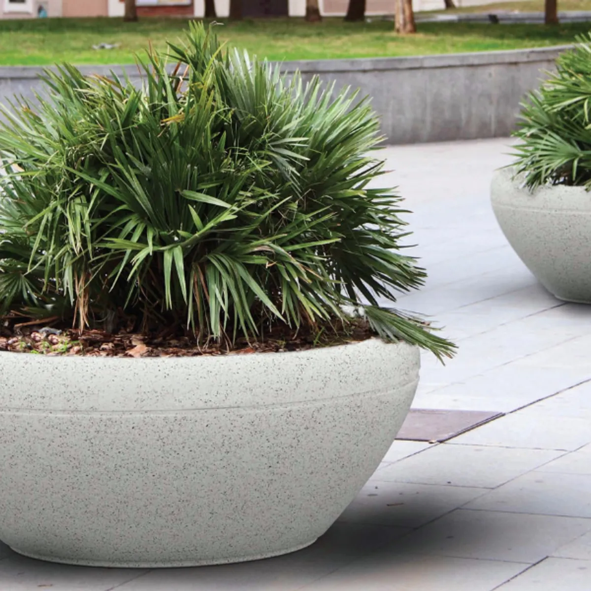 Jardinière béton Rotonde Ø200 mm