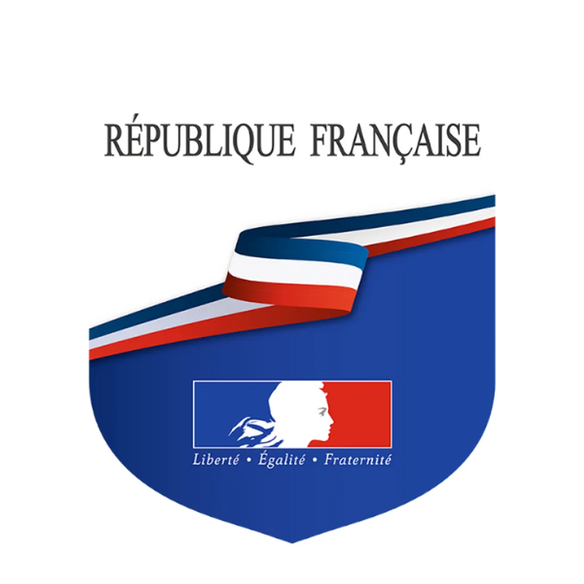 Ecusson Porte Drapeau République Française