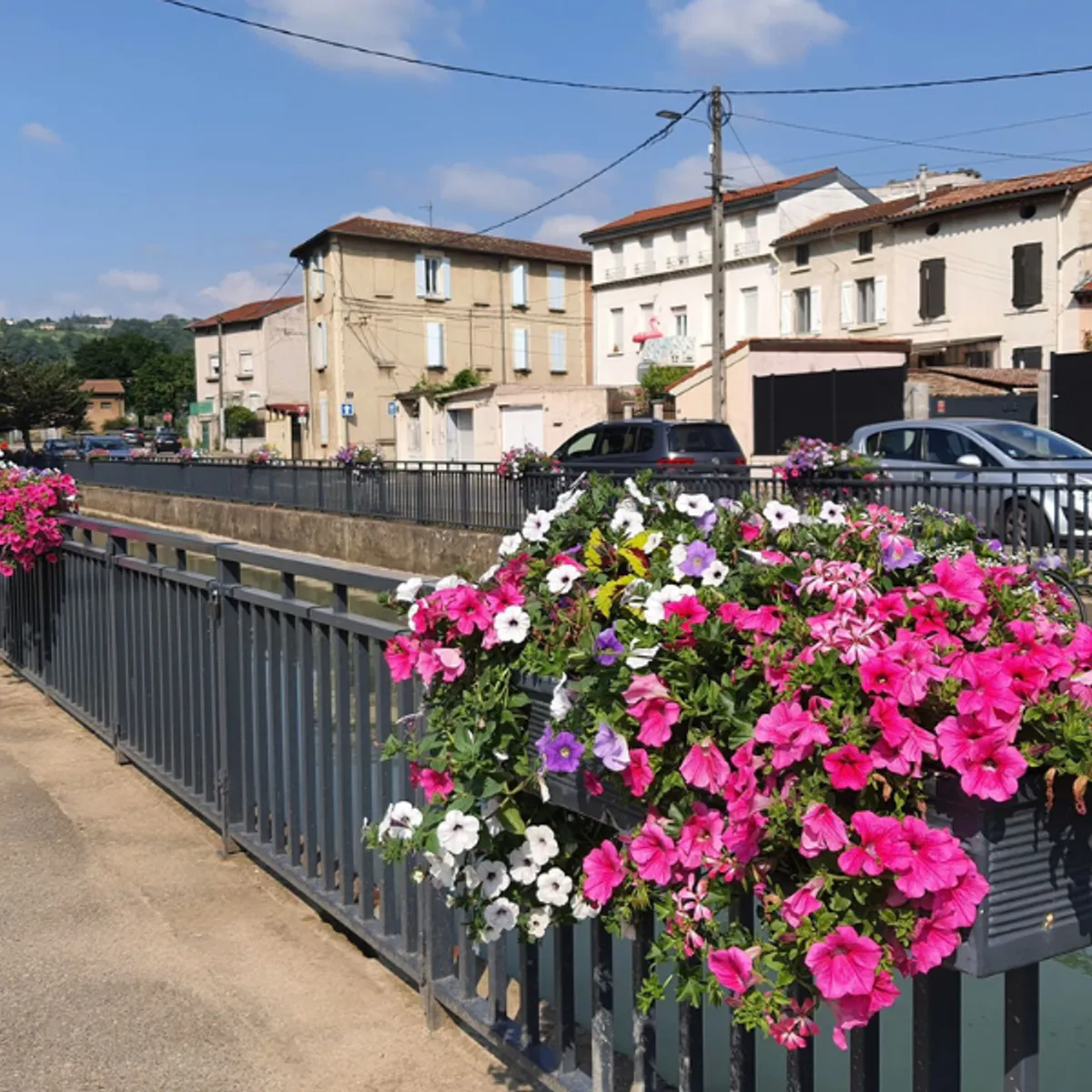 Jardinière suspendue-
