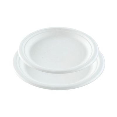 Assiettes fibre végétale