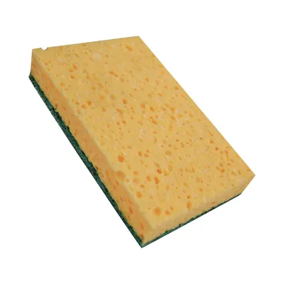 Eponges végétales grattantes