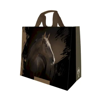 Sacs cabas "Passe-partout"