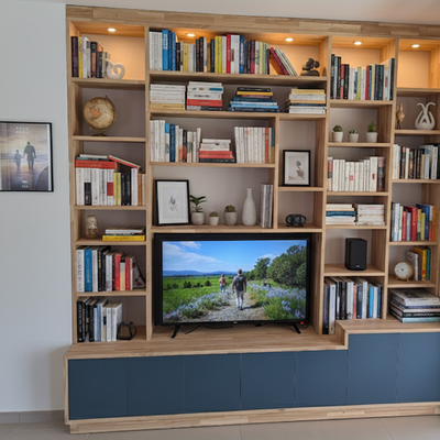 Bibliothèque et meuble TV en bois et bleu