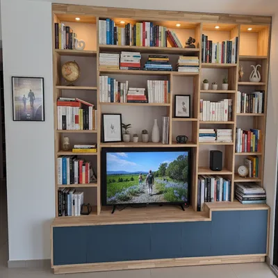 Bibliothèque et meuble TV en bois et bleu