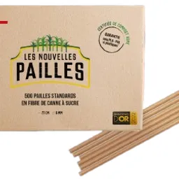 PAILLES EN FIBRE DE CANNE A SUCRE 500p