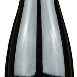 LE PRINCE SAUMUR-CHAMPIGNY DOMAINE DE ROCHEVILLE BIO 2022 ROUGE